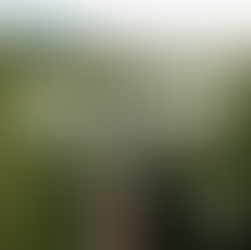 De la fatiga a la calma: El proyecto de bienestar para pacientes con NMP