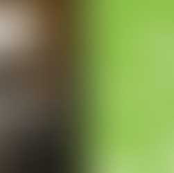 Myelofibrosis Day: Voices of Strength from Our Global MPN Family