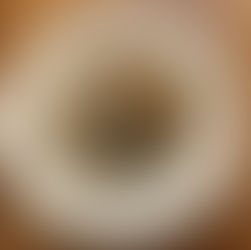 Mackerel with julienned vegetables and mushrooms