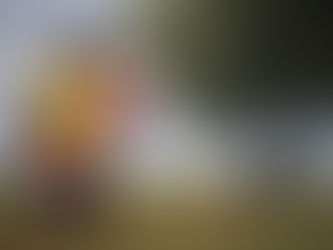 The Year of St. Joseph - Called to Be a Father