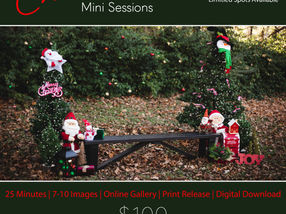 Christmas Mini Sessions