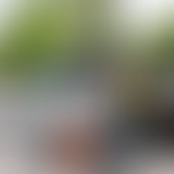 Fort Myer Construction to Play a Leading Role in DC's First P3 Project