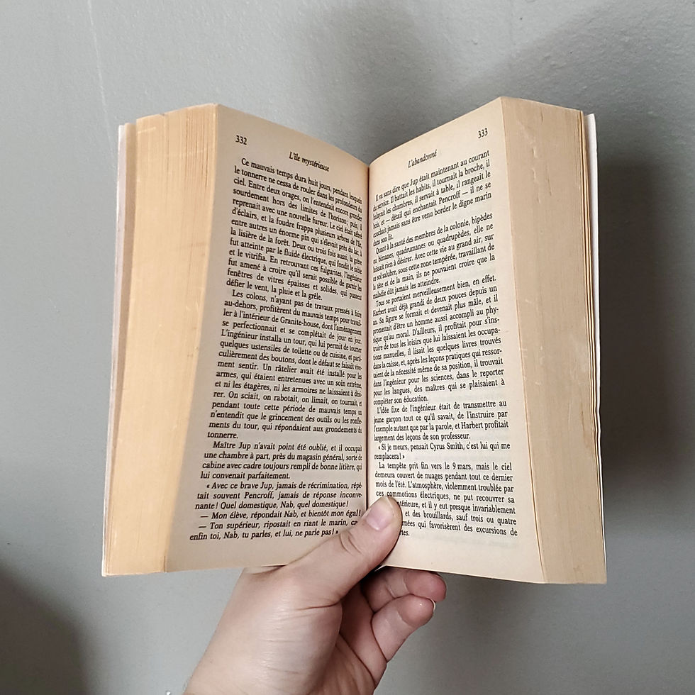 L'Île mystérieuse | Jules Verne