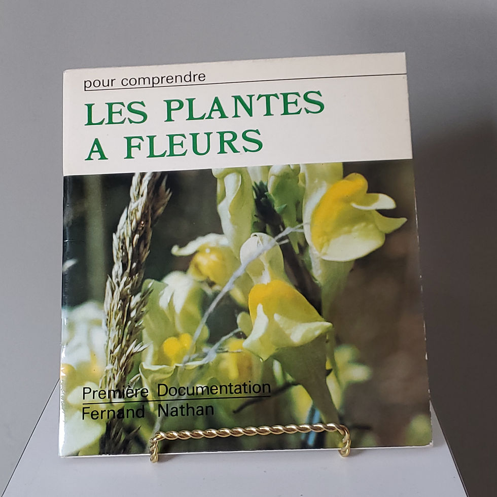 Les plantes à fleurs | Georgette Barthélemy