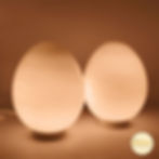 Lampe de table en verre en forme d'oeuf Space Age | 2 disponibles