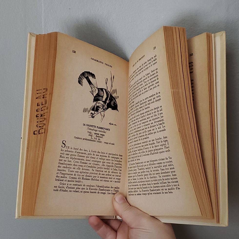 Charmants voisins : les oiseaux du Québec | Claude Mélançon