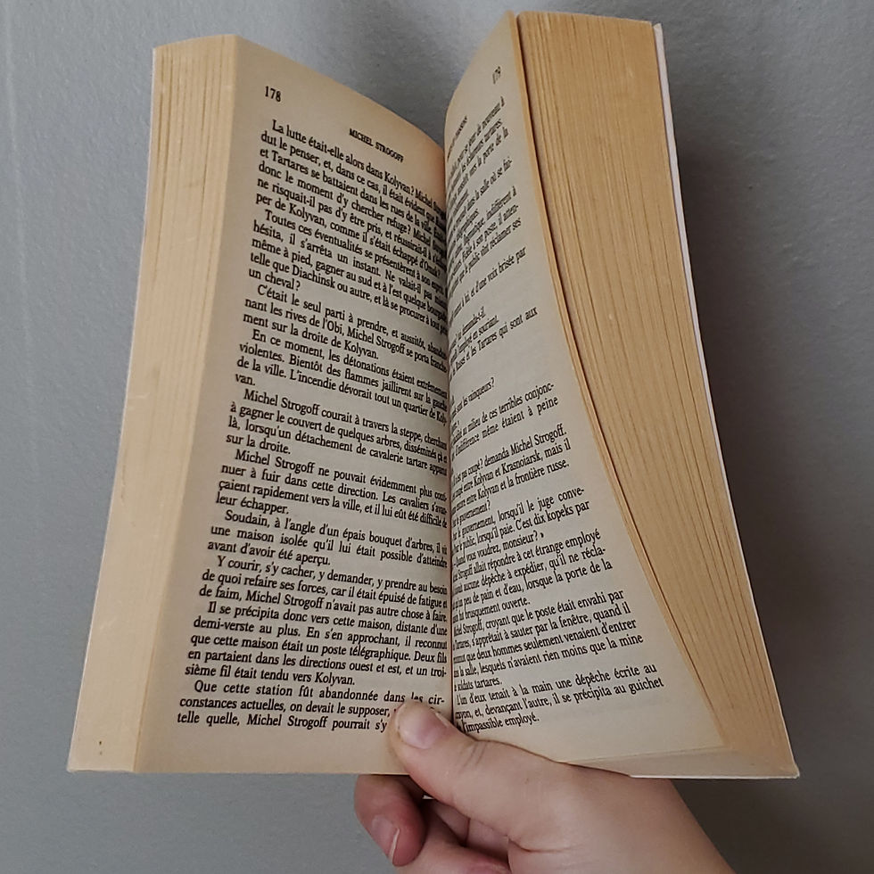 Michel Strogoff | Jules Verne