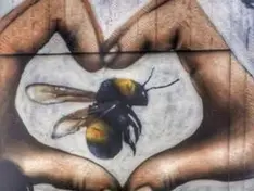 Ramblings of a Northern Girl - PD in Poetry 2023 - Week 2 - The Dome by Annie Booth