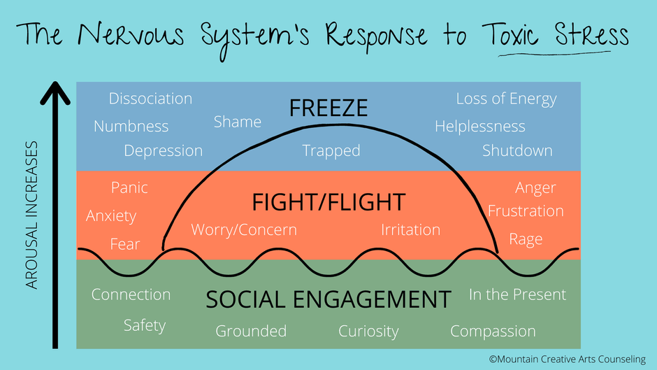 ​ Fight-Flight-Freeze