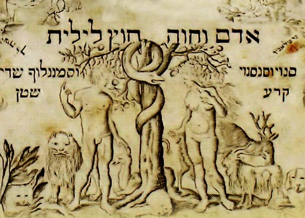 איור למאמר חוץ לילית.png