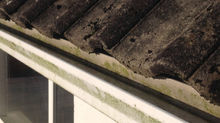 How to Tell If There's a Problem With Your Roof: 10 Signs To Look Out For.