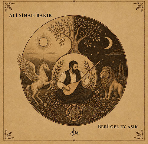 Ali CINAN COVER_.jpg