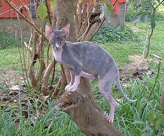 F outdoors.jpg