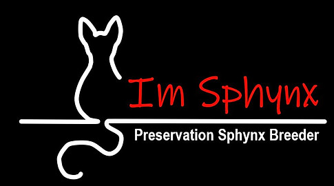 ImSphynx Logo.JPG