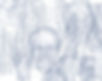 header 1.jpg