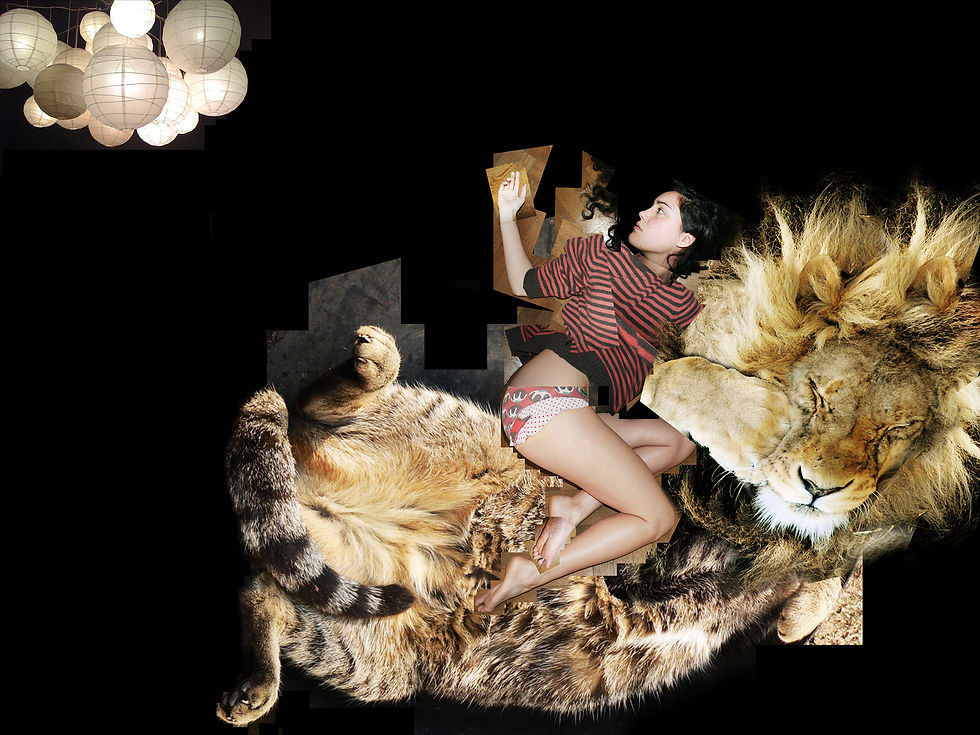 Riding Lions