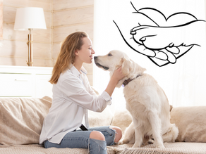 Les Soins énergétiques pour animaux : qu'est-ce que c'est et quels en sont les bienfaits