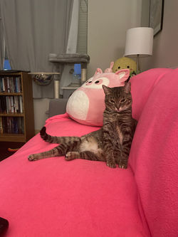 image0 - 2026-03-09T160619.154