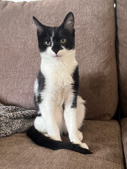 image0 - 2026-01-12T222349.533