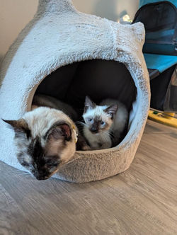 9F30A360-237F-4835-BE11-6C287A30B52D