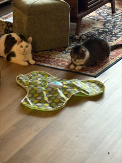 processed-3F152BD6-557E-4706-9CC5-656D317269B6