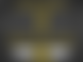 96 - Why Backlinks Are the Secret to Ranking Higher on Google with Brandon Leibowitz