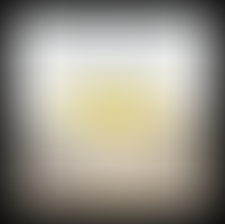 UNITED State of Women Ranked #1: What This Means for Women’s Leadership, Podcasting, and the Power of Consistency