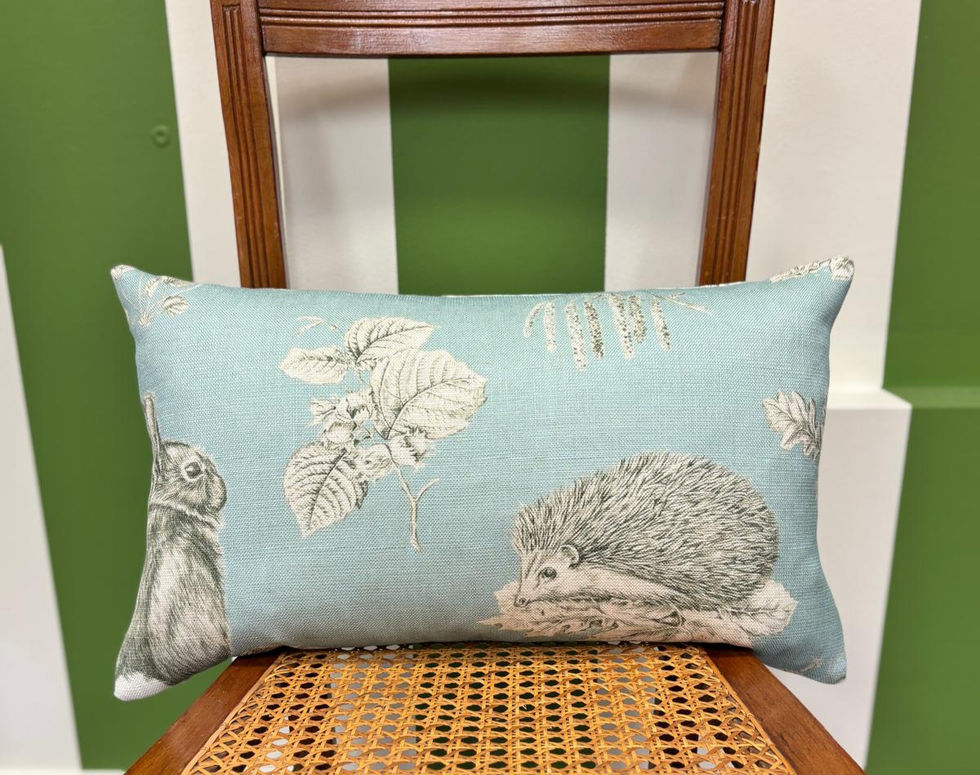 Sanderson Squirrel and Hedgehog Cushions Sky Blue Pebble with Inner