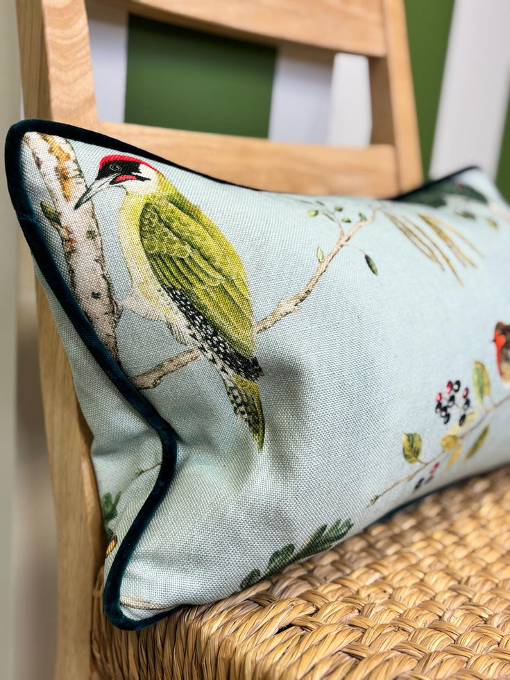 Sanderson Woodland Chorus Cushion Sky Blue Multi