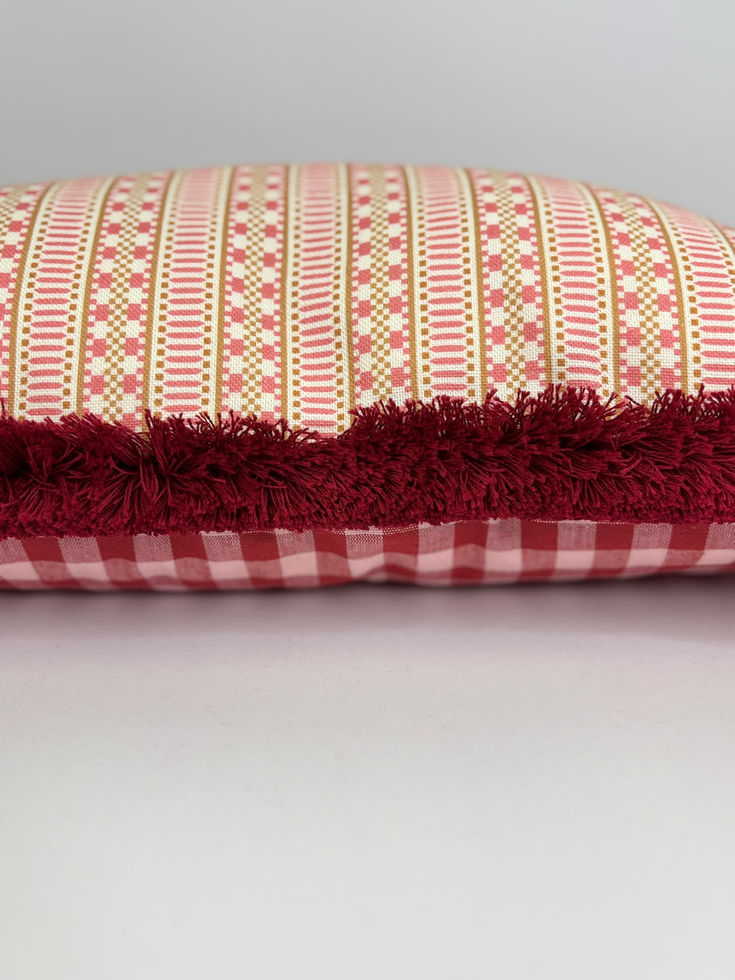 Charlotte Gaisford Poppy Dark Pink Cushion Red Brush Fringe - Feather Inner