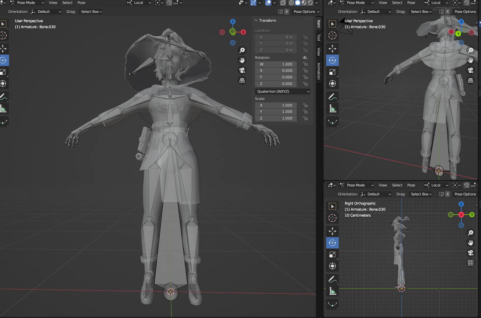 Rigging full body and hat