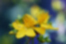 IMG_1111-Edit.jpg