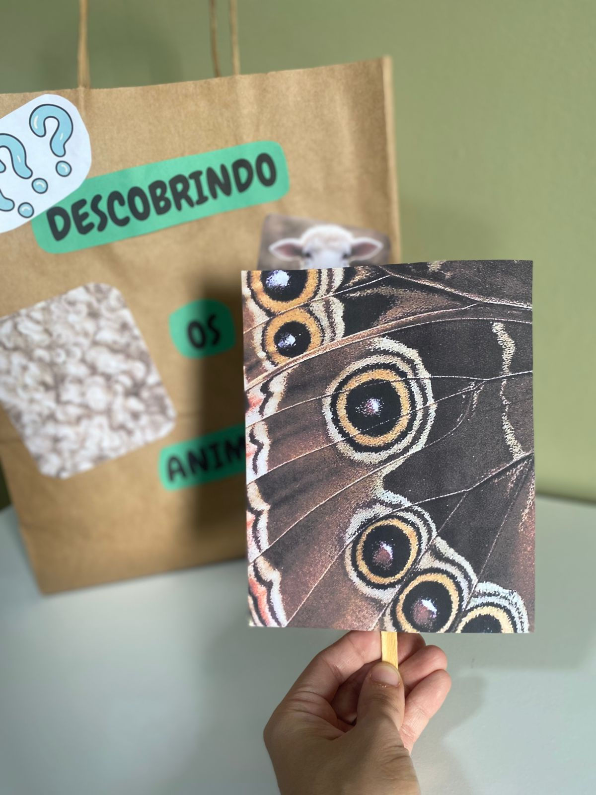 SACOLA DA DESCOBERTA: Animais