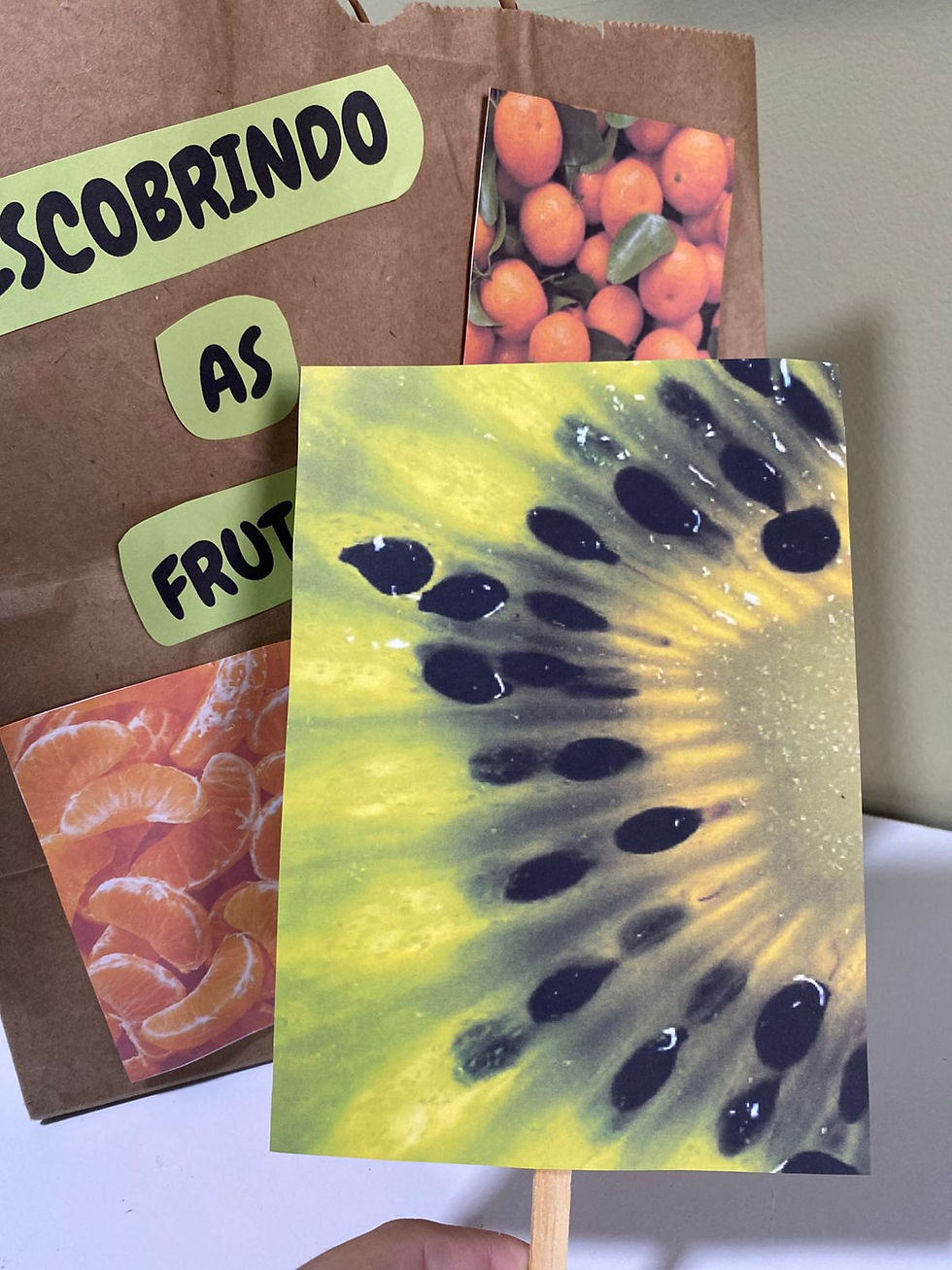 SACOLA DA DESCOBERTA: Frutas🍍