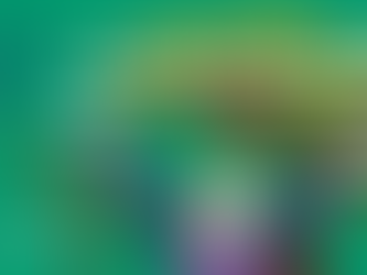 Is the Lingerie Biz a Biz of Scarcity or Abundance