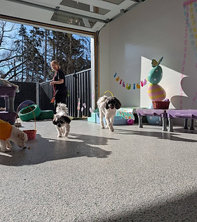 indoor outdoor daycare edmonton.jpg