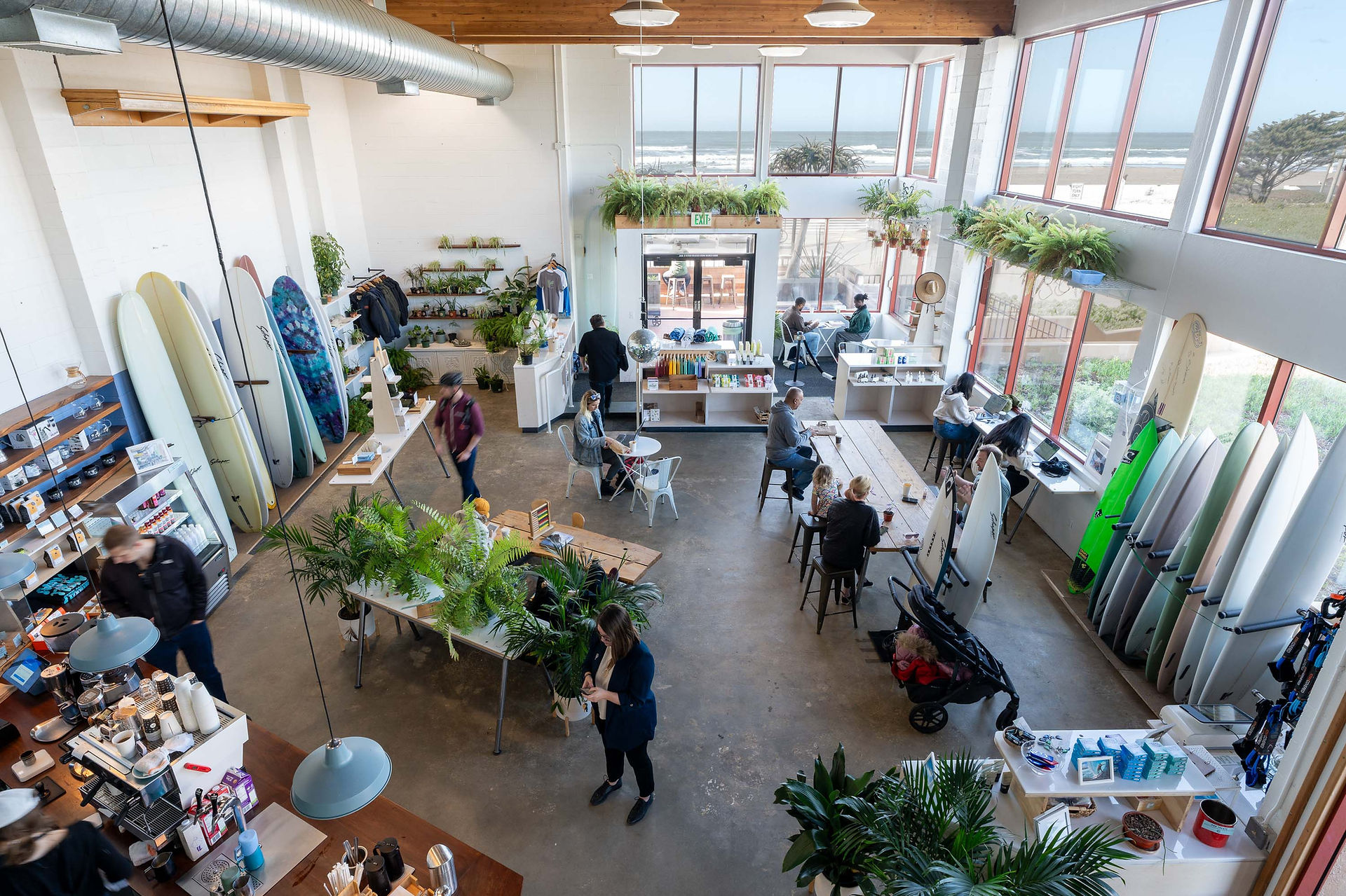 Ocean Plant, MKThink, Edge