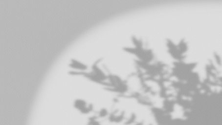 אמצע היום | אדוה קרא ואזאנא