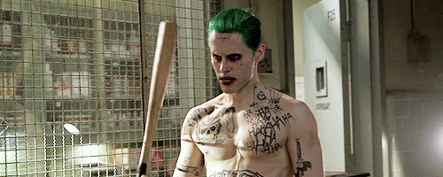 tumblr_ocf4wrTnIs1vcfe6bo1_500.gif