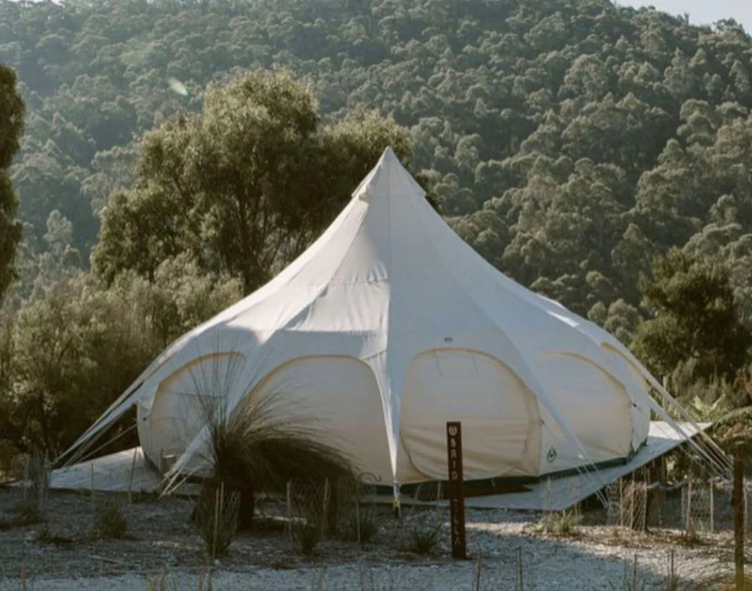 6M 20' Lotus RainDrop