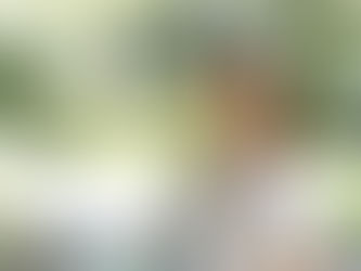 蔵の街を着物でまち歩き体験 in せんまやひなまつり