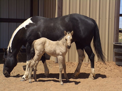 042711 summer and baby 028.JPG