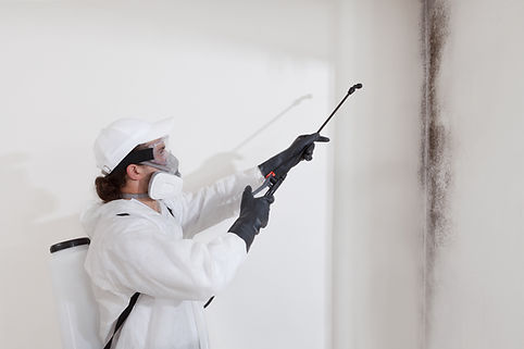 Mold remediation service_ A professional worker spraying products to remove mold before ho