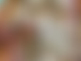 Nuove Offerte sul Mercato! New Offerings at the Market!