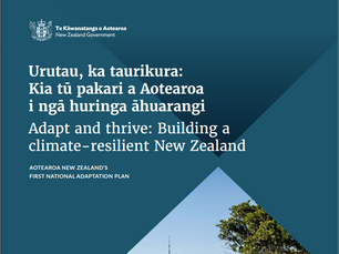 Government document (on reflection): Aotearoa New Zealand's First National Adaptation Plan 2022–28