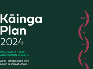 Kāinga update: Te Rereatukāhia draft launch of kāinga plan