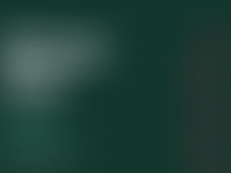 Kāinga update: Te Rereatukāhia draft launch of kāinga plan