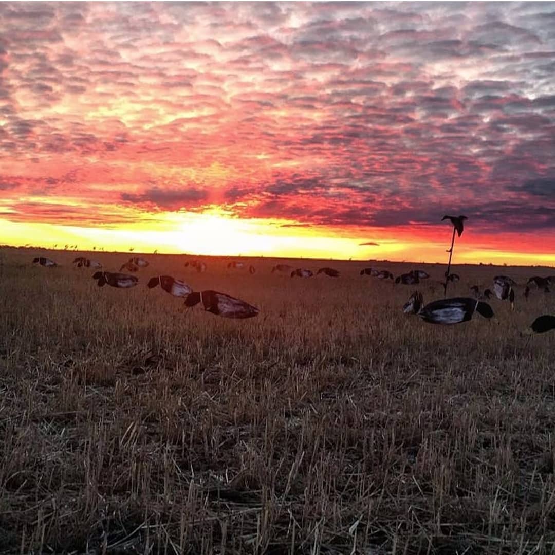 Forfaits de chasse aux oiseaux au canard — Benelli Boyz Outfitters – Benelli Boyz Outfitters