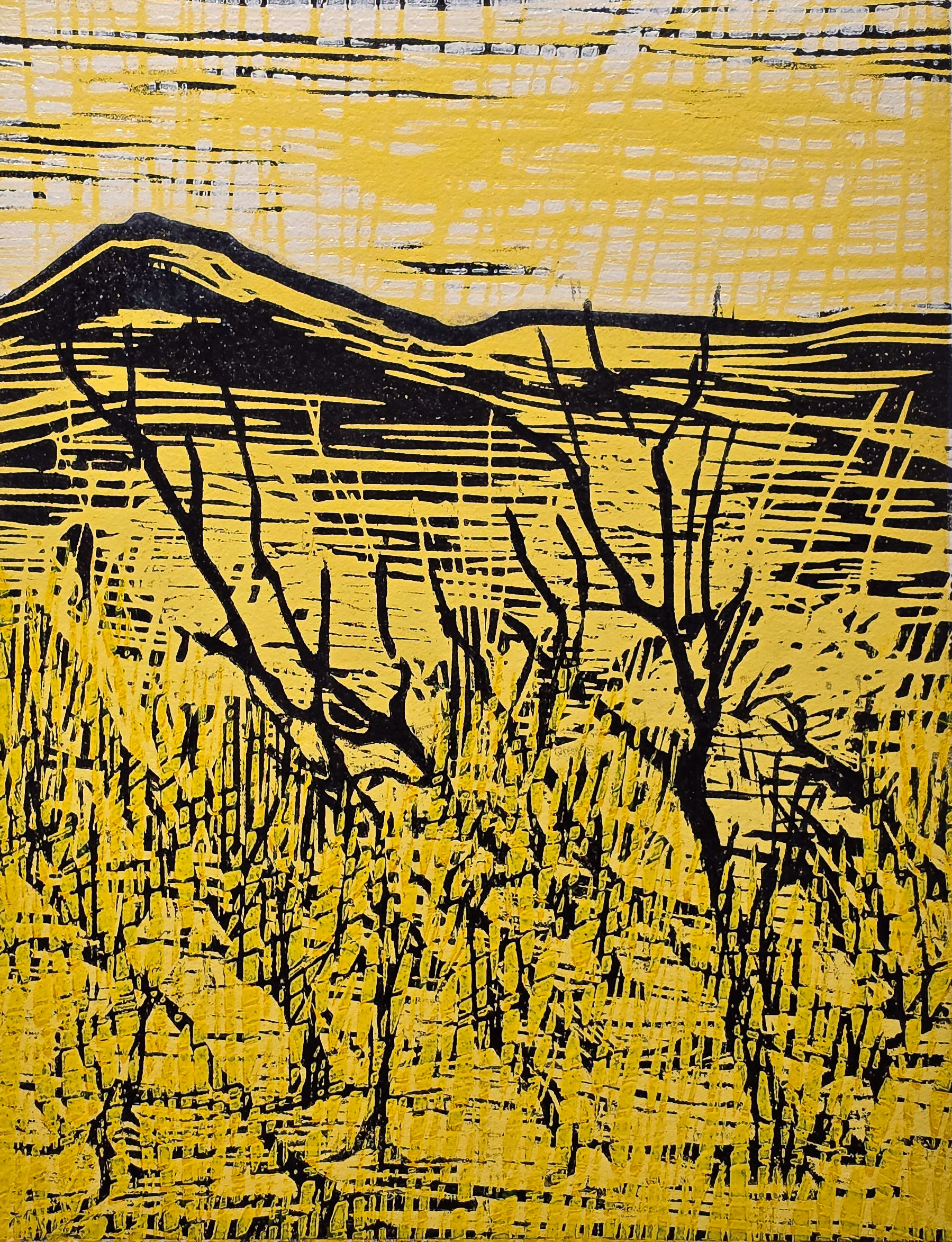 A matter of epirrita auumnata - Patrick Huse