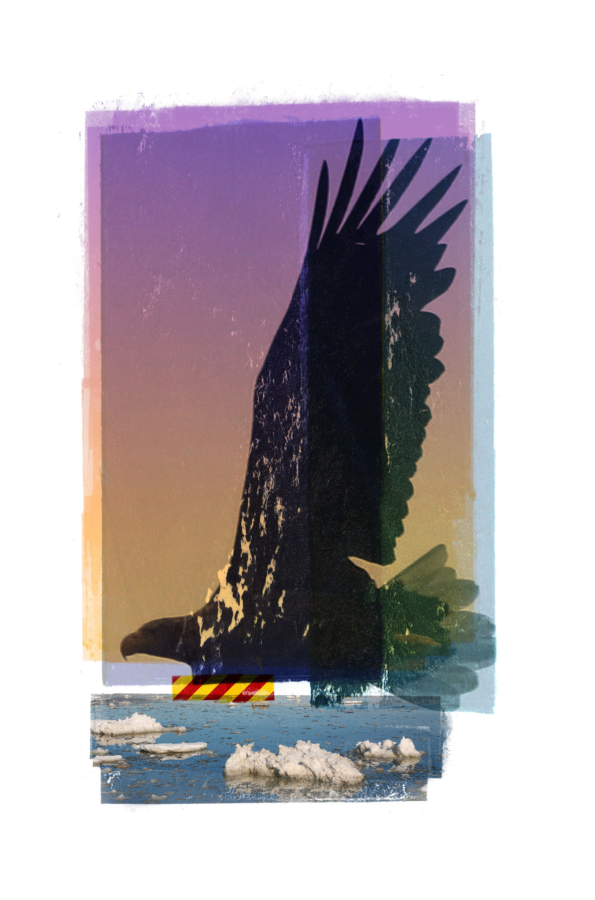 Aquila / River / Paris Accord (Lofoten) - Per Fronth